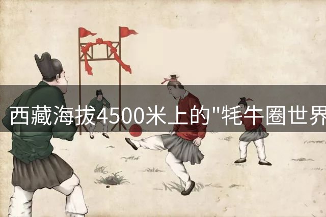 西藏海拔4500米上的"牦牛圈世界杯"：缺氧不缺梦想的足球少年